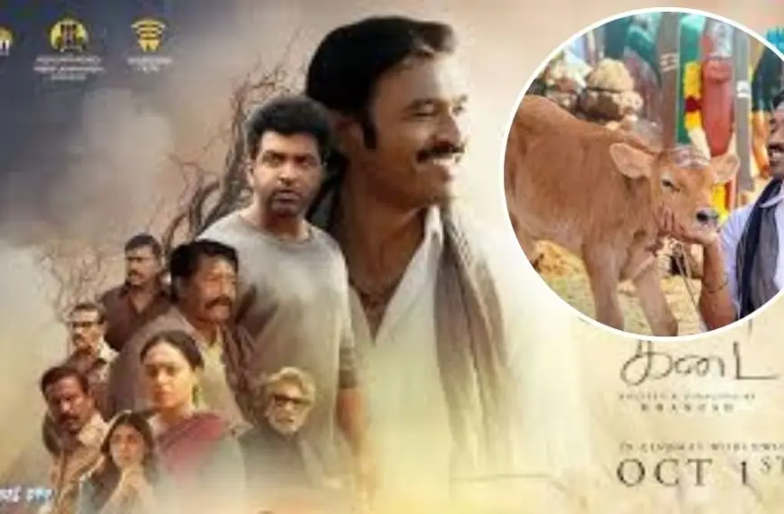 धनुष की फिल्म ‘Idli Kadai’ अब OTT पर धमाका करेगी! जानिए कब और कहाँ देख सकते हैं यह जबरदस्त फिल्म?