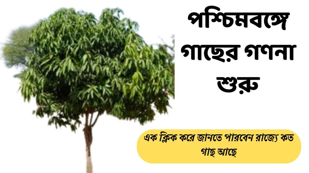 পশ্চিমবঙ্গে গাছের গণনা শুরু