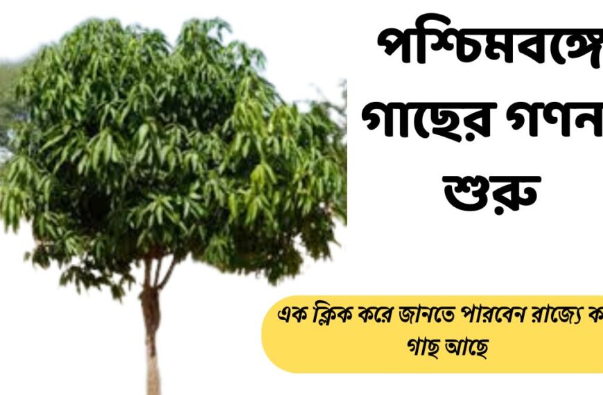 পশ্চিমবঙ্গে গাছের গণনা শুরু